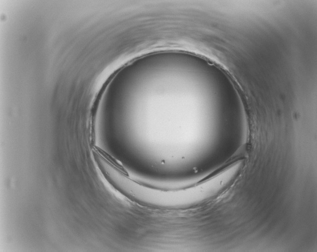 X0000055521519200508262152