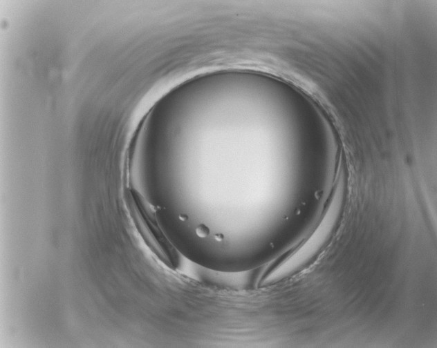 X0000055521520200508262152