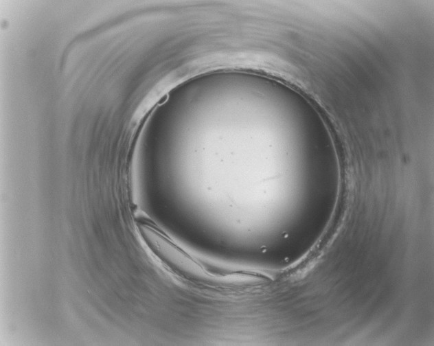 X0000055521521200508262152