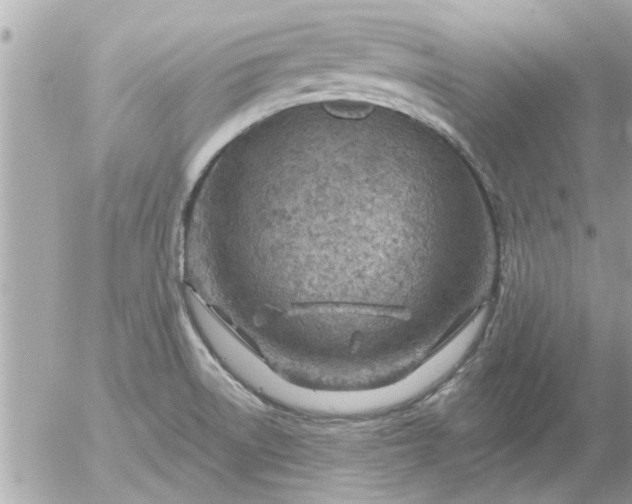 X0000055521522200508262153