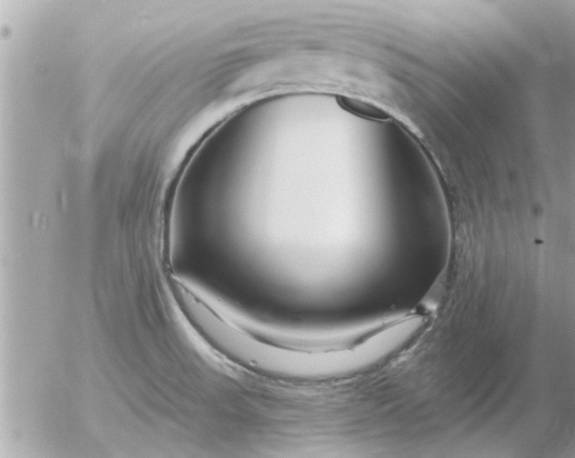 X0000055521523200508262153