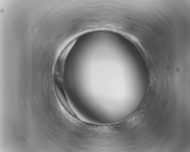 X0000055521524200508262153