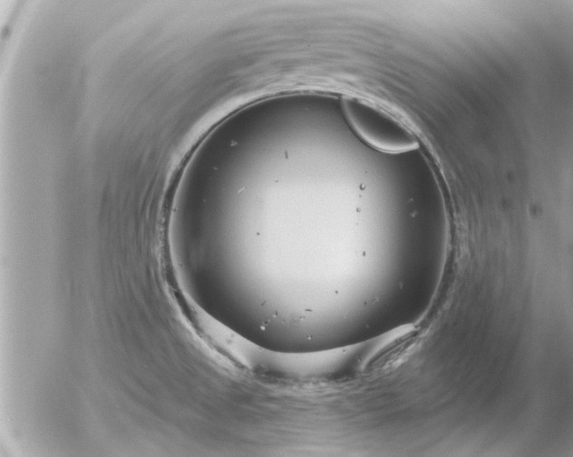 X0000055521525200508262153