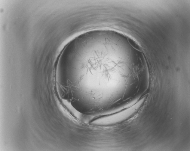 X0000055521526200508262153