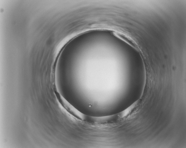 X0000055521527200508262153