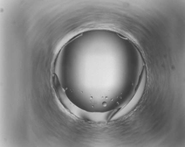 X0000055521528200508262153