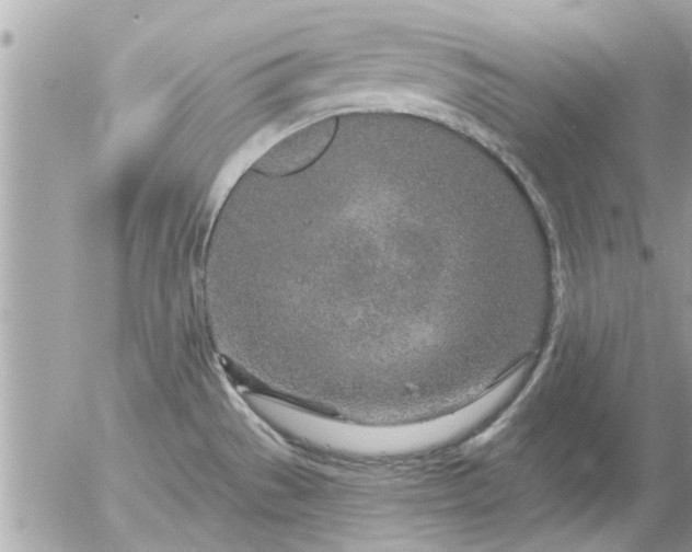 X0000055521529200508262153