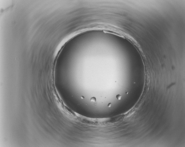 X0000055521530200508262153