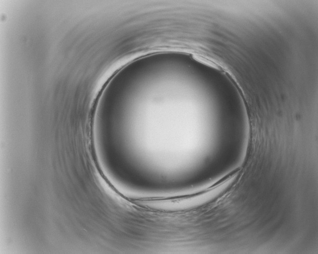 X0000055521531200508262153