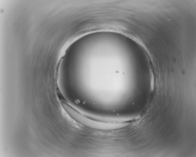 X0000055521532200508262153