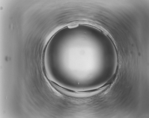 X0000055521533200508262153