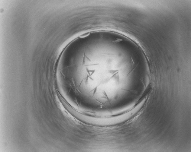 X0000055521534200508262153