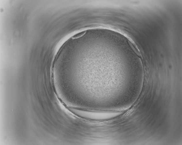 X0000055521535200508262153