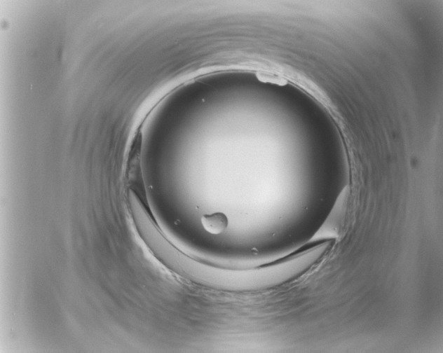 X0000055521536200508262153