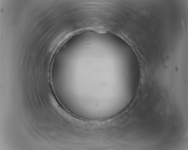 X0000055520002200509022135