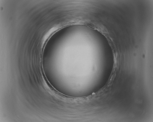 X0000055520003200509022135