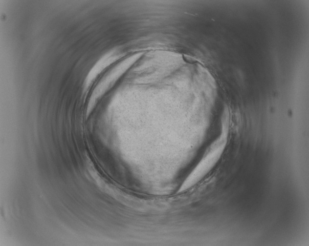 X0000055520004200509022135