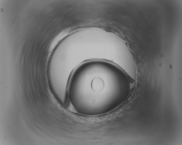 X0000055520006200509022135