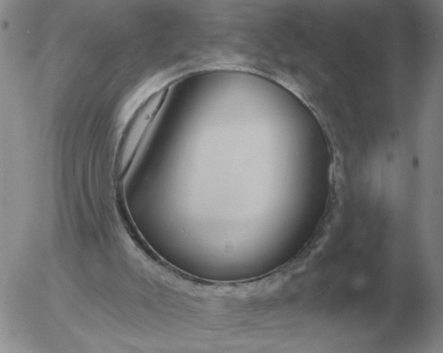 X0000055520007200509022135