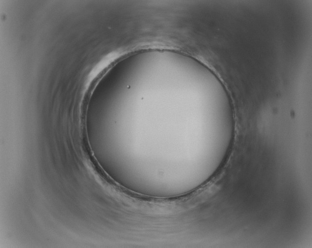 X0000055520008200509022135