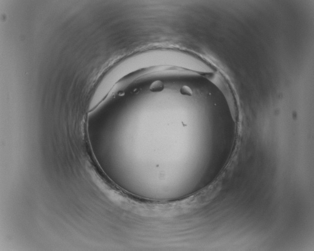 X0000055520009200509022135