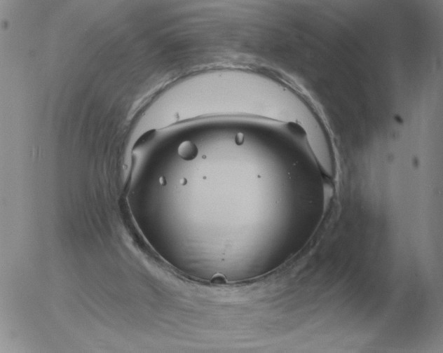 X0000055520010200509022135