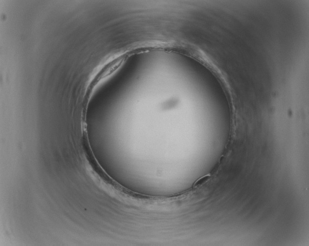 X0000055520011200509022135