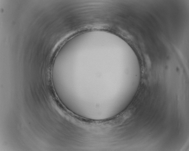 X0000055520012200509022135