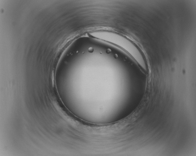 X0000055520013200509022135