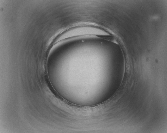 X0000055520015200509022135