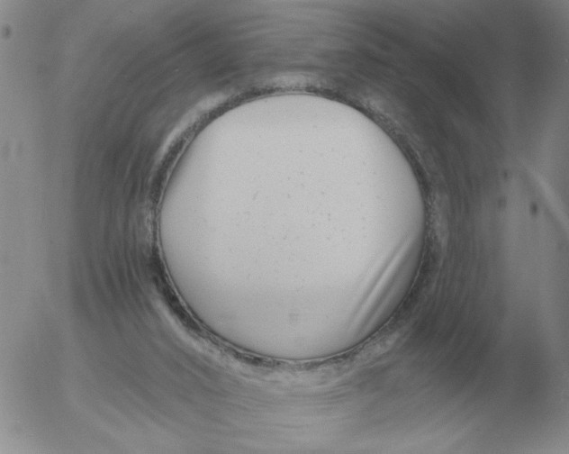 X0000055520016200509022135