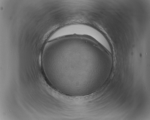 X0000055520019200509022135