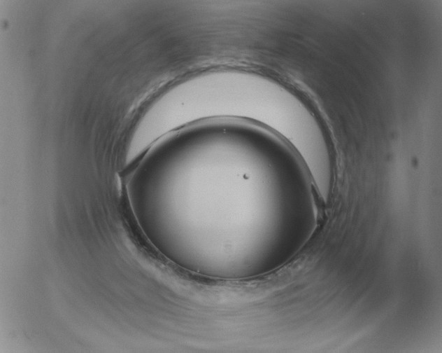 X0000055520020200509022135