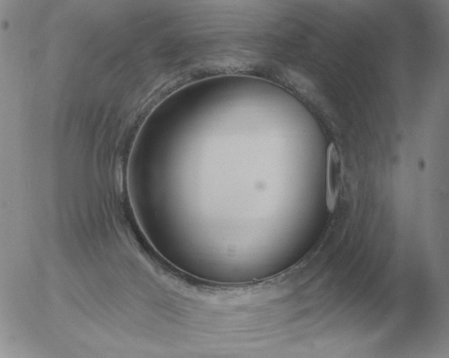 X0000055520021200509022135