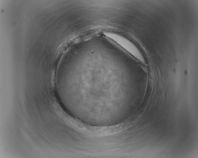 X0000055520023200509022135