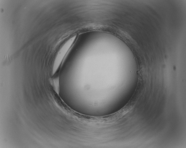 X0000055520024200509022135