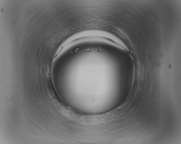 X0000055520025200509022135