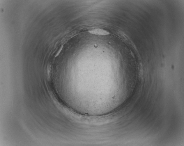 X0000055520026200509022135