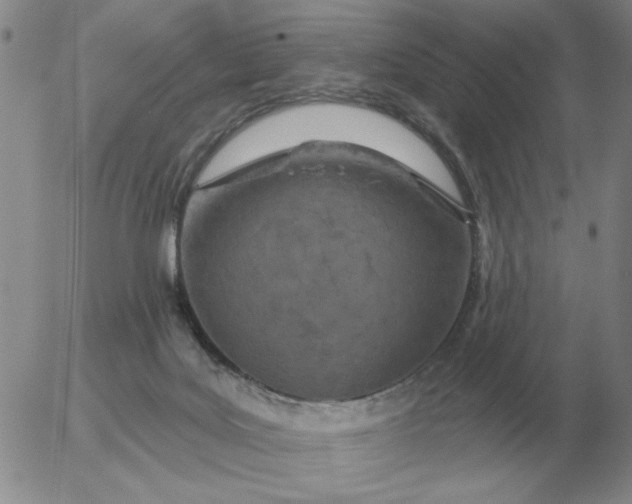 X0000055520027200509022135