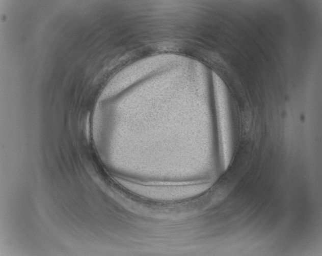 X0000055520028200509022135