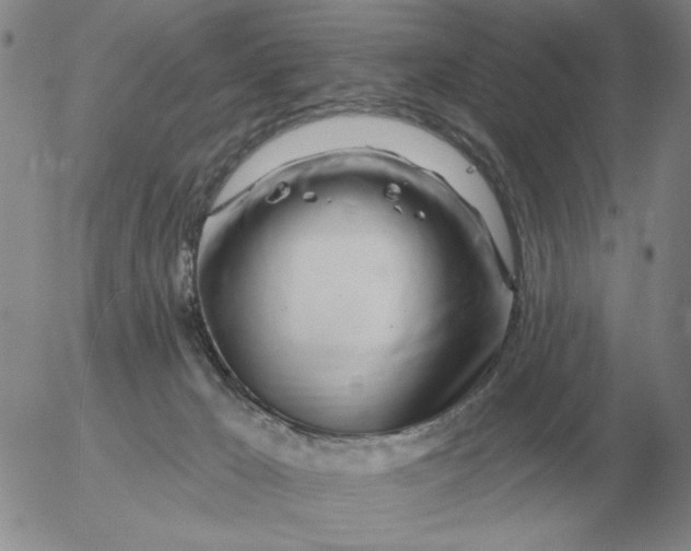 X0000055520029200509022135