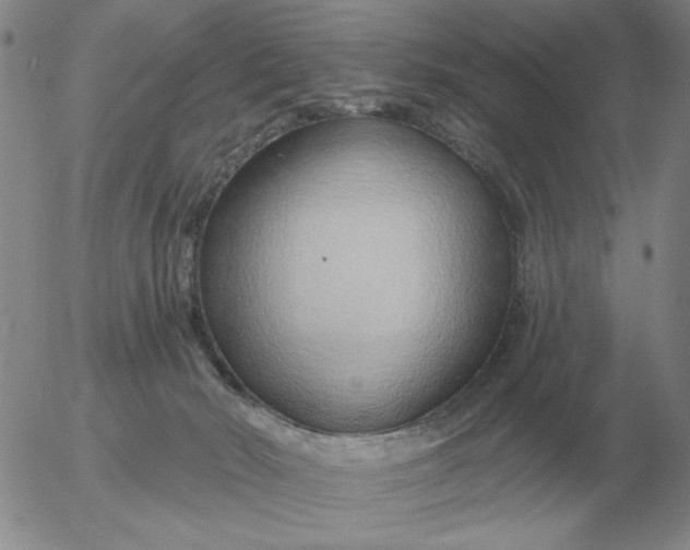 X0000055520030200509022135