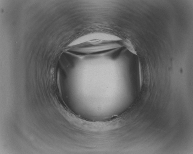 X0000055520034200509022135