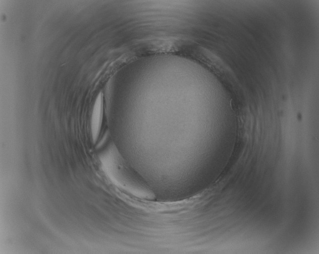 X0000055520035200509022135