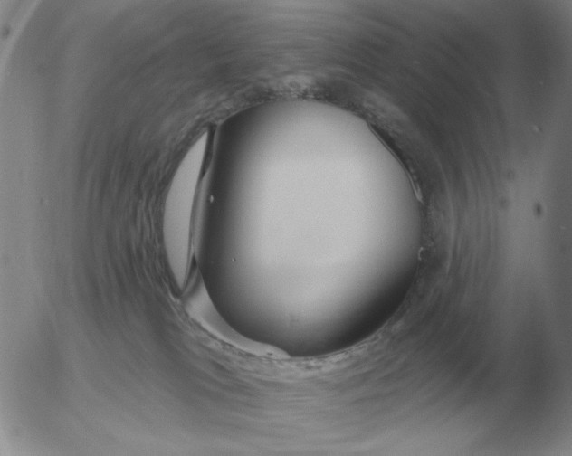 X0000055520037200509022135