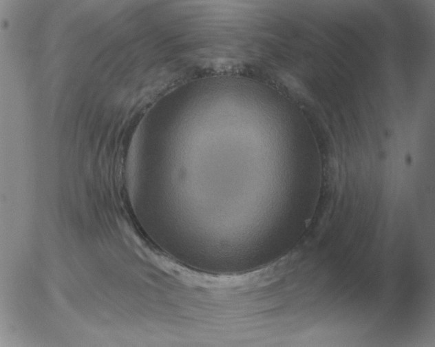 X0000055520039200509022135