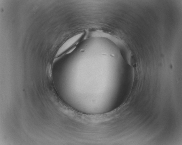 X0000055520041200509022135