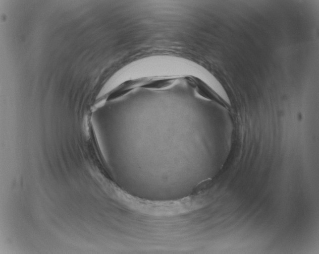 X0000055520042200509022135