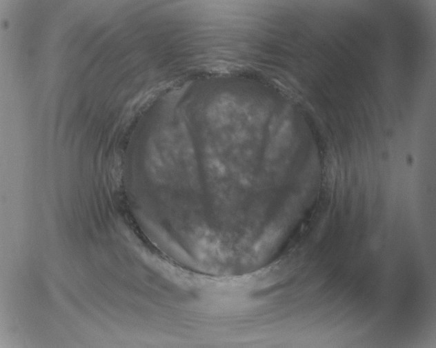 X0000055520043200509022135