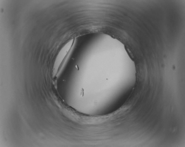 X0000055520044200509022135